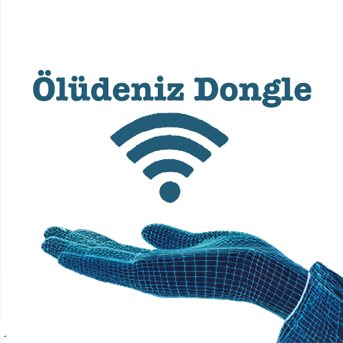 oludeniz-dongle-slogansız-logo-web